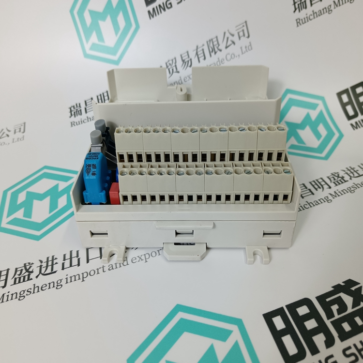 3BSE017429R1(图2)