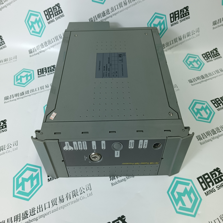 ICS TRIPLEX T8110B(图2) ICS TRIPLEX T8110B(图2)