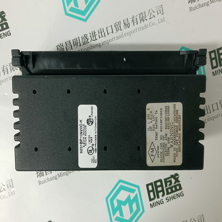 GE 6231BP10910(图5)