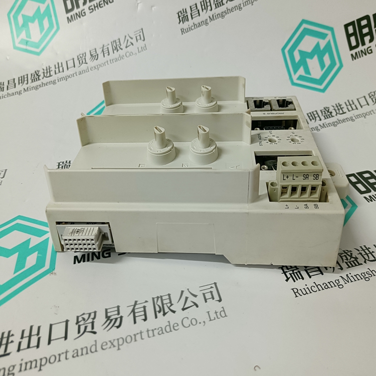 3BSE022462R1(图2)