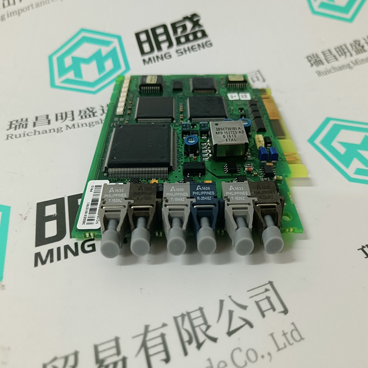 3BSE018137R1(图1)