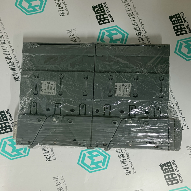 ICS TRIPLEX 9802(图1) ICS TRIPLEX 9802(图1)