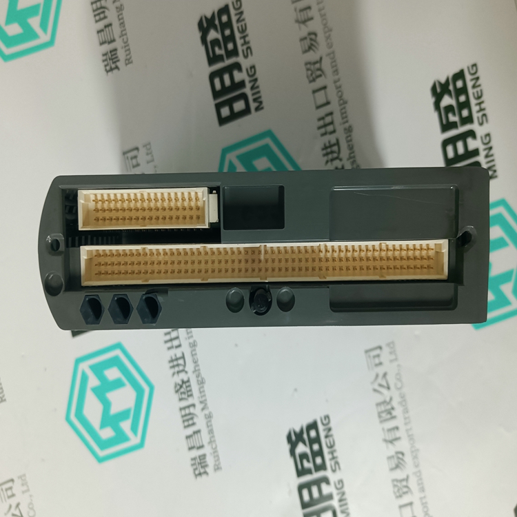 ICS TRIPLEX T9110(图3) ICS TRIPLEX T9110(图3)