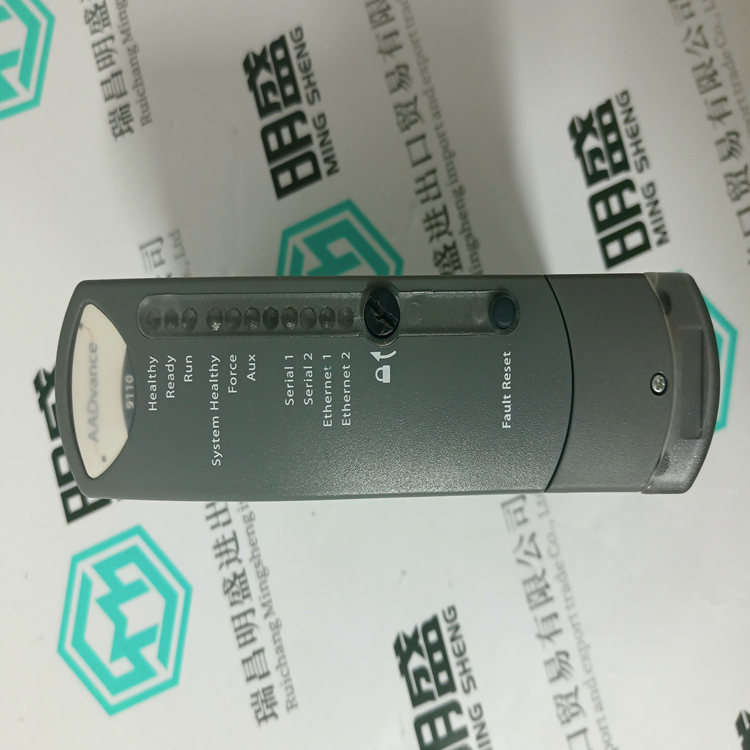 ICS TRIPLEX T9110(图2) ICS TRIPLEX T9110(图2)