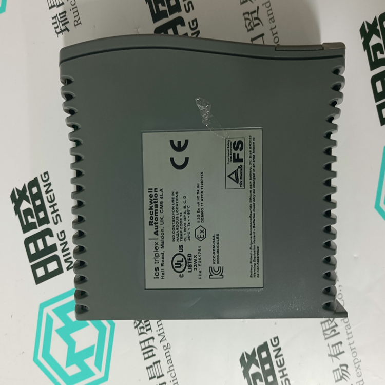 ICS TRIPLEX T9110(图4) ICS TRIPLEX T9110(图4)