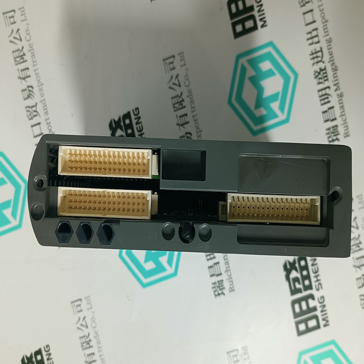 ICS TRIPLEX T9402(图4) ICS TRIPLEX T9402(图4)