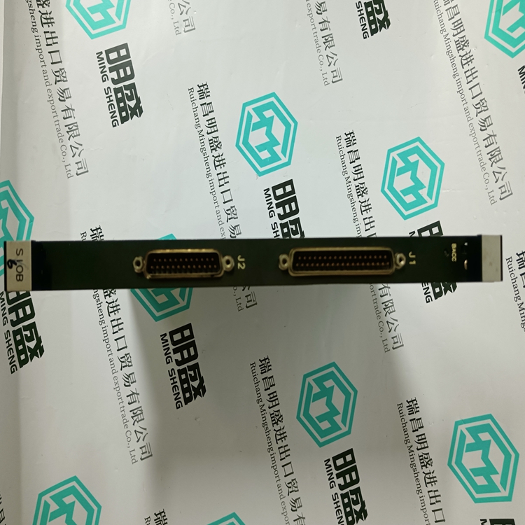 DS200SIOBH1AAA(图5) DS200SIOBH1AAA(图5)