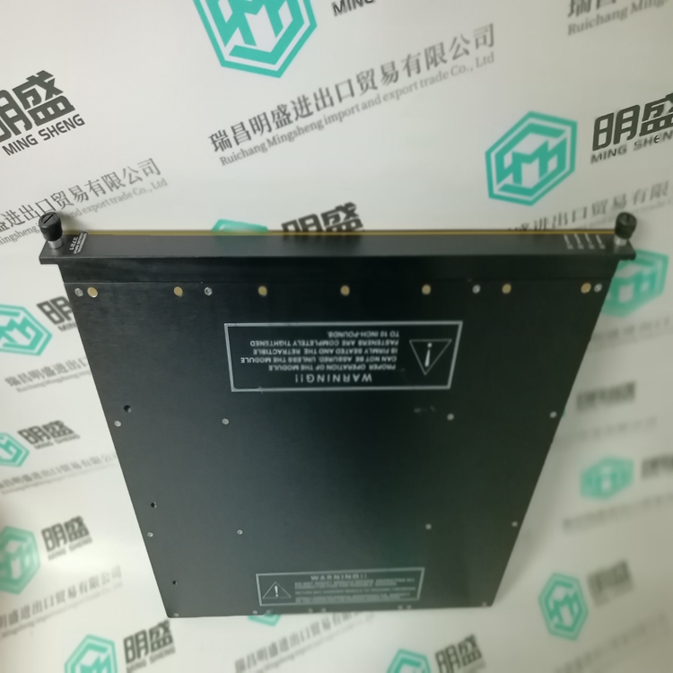 TRICONEX 3721(图2) TRICONEX 3721(图2)