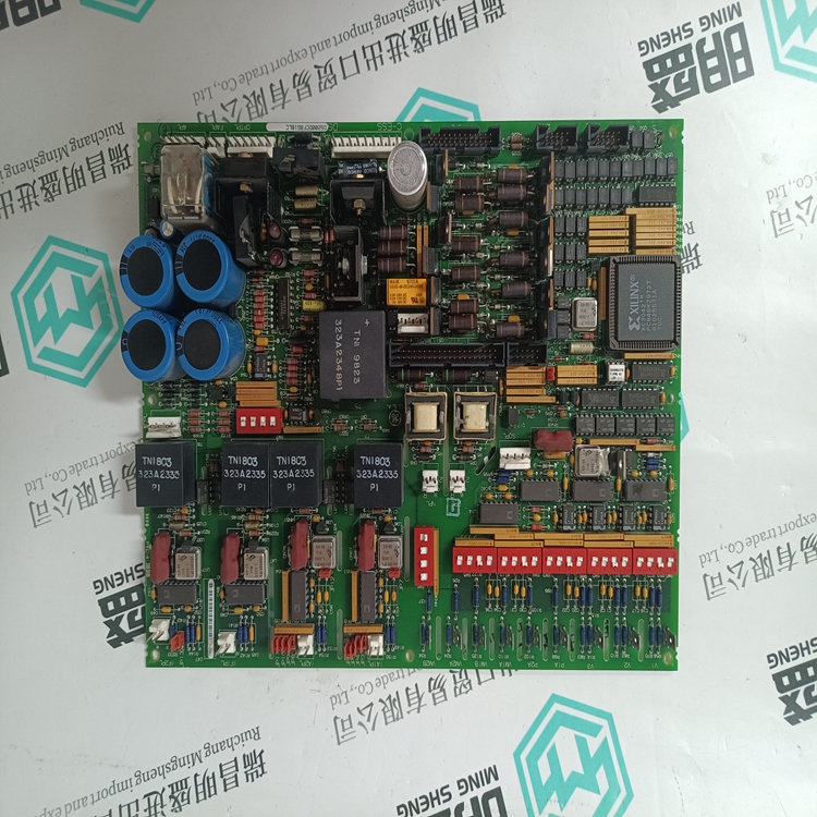 DS200DCFBG1BLC(图2) DS200DCFBG1BLC (2).jpg