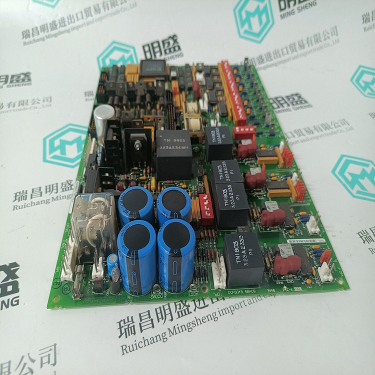 DS200DCFBG1BLC(图3) DS200DCFBG1BLC (4).jpg