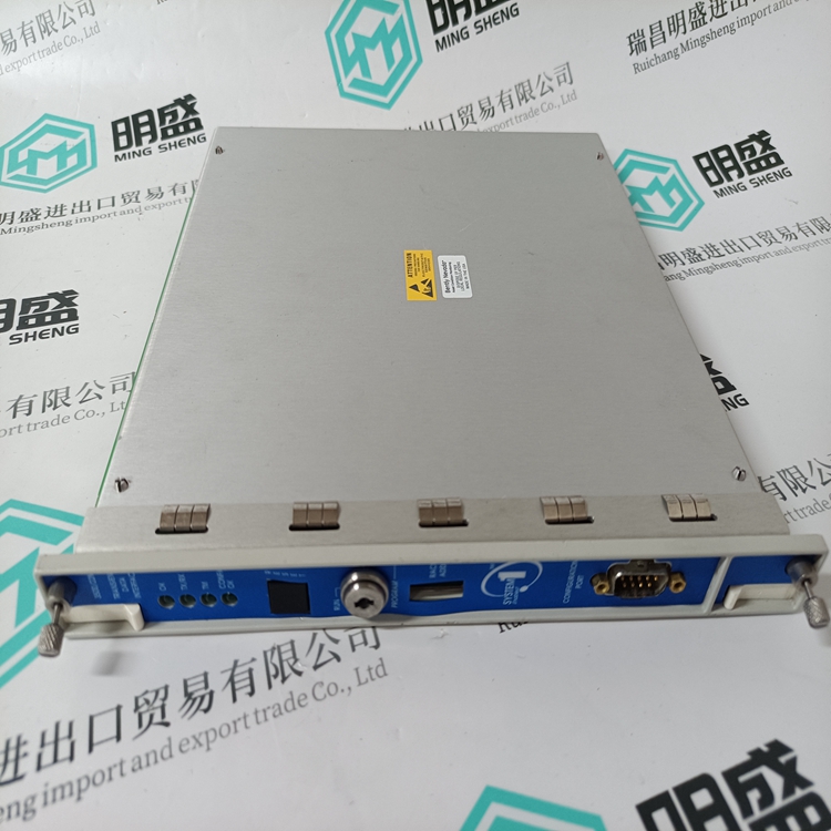 BENTLY 138607-01(图3) 3500 22M 138607-01 (5).jpg