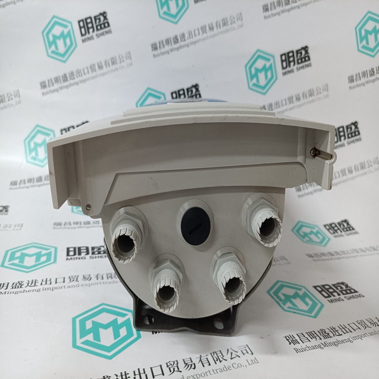 IFC300W(图3) OPTIFLUX4300W IFC300W (3).jpg