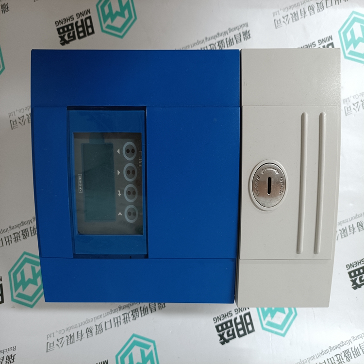 IFC300W(图1) OPTIFLUX4300W IFC300W.jpg