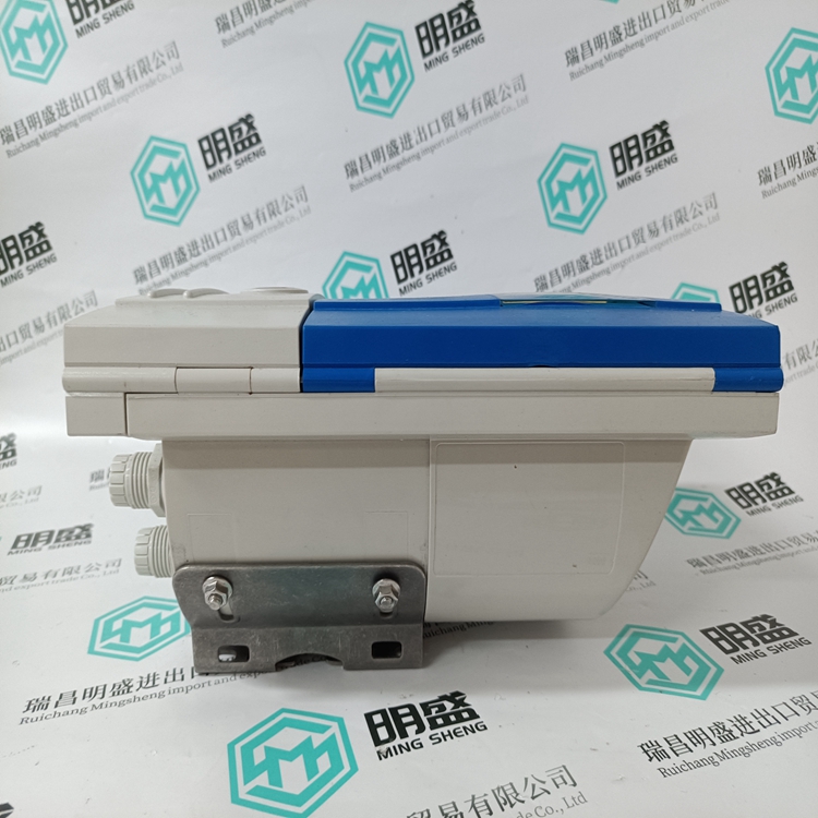 IFC300W(图2) OPTIFLUX4300W IFC300W (2).jpg