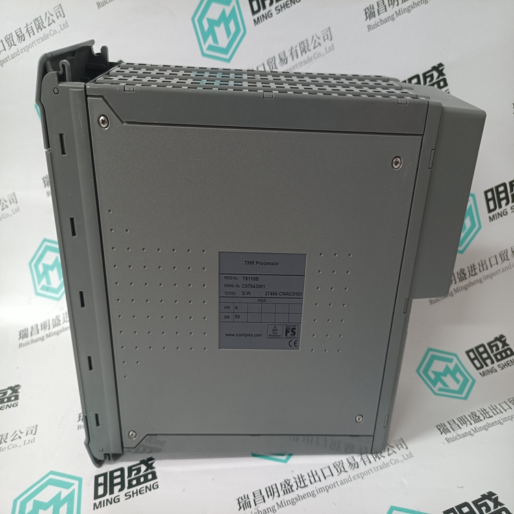 ICS TRIPLEX T8110B(图4) ICS TRIPLEX T8110B (5).jpg