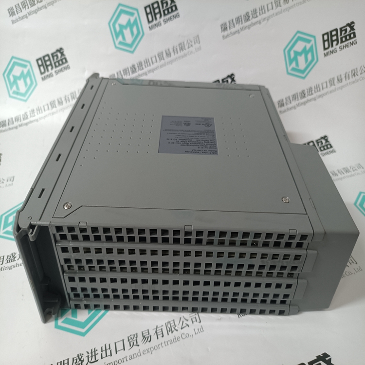 ICS TRIPLEX T8110B(图2) ICS TRIPLEX T8110B (2).jpg