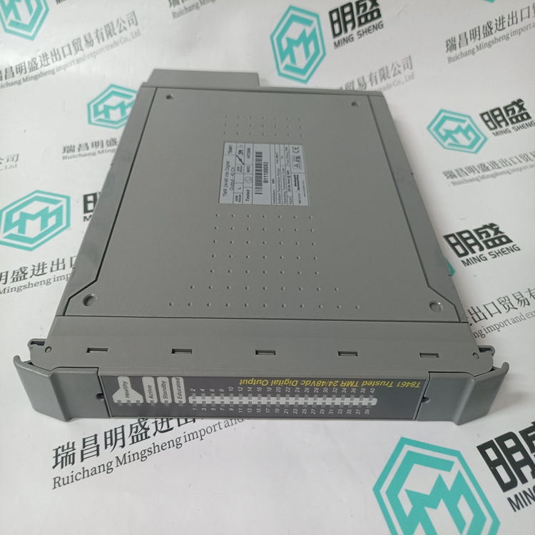 ICS TRIPLEX T8461(图3) ICS TRIPLEX T8461 (5).jpg