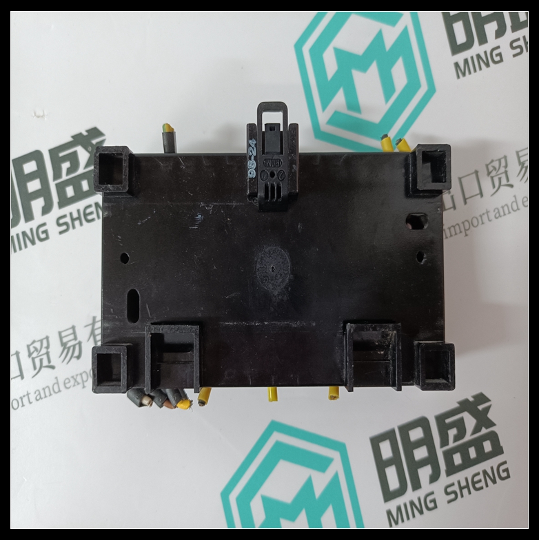 CS31(图4) CS31 (5).jpg