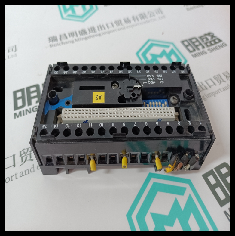 CS31(图2) CS31 (2).jpg