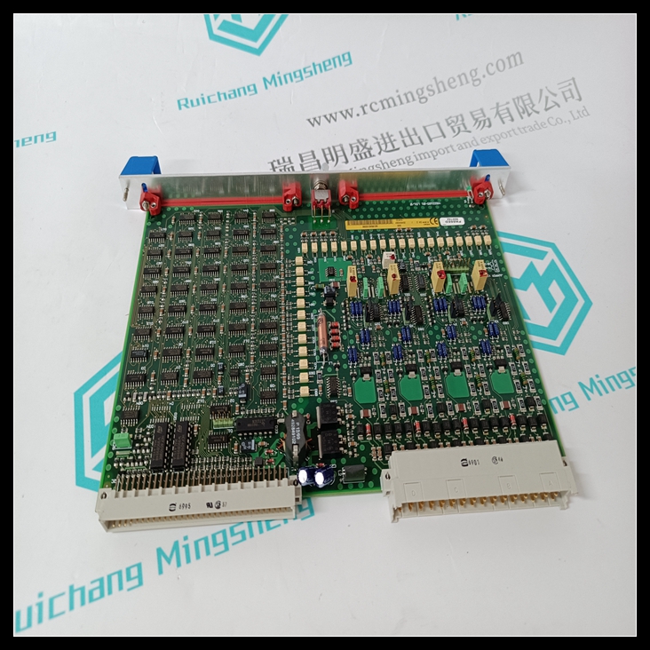 OCAHG 492838402(图1) OCAHG 492838402 (4).jpg