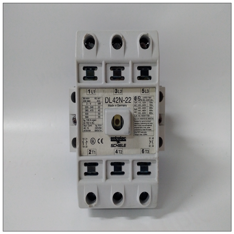 SCHIELE DL42N-22模块