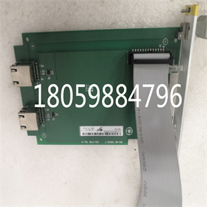 IS200DRTDH1A模块控制器