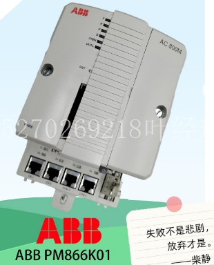 ABB PM866K01.jpg