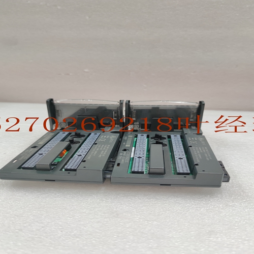 IS200RAPAG1B机器人卡件,输出卡件