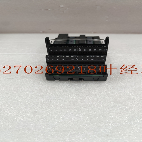 IS200RAPAG1BAA控制器模块