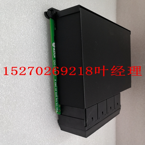 IS200BPIIH1AAA工控备件机器人模块