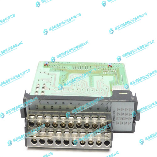 RELIANCE 45C961输出模块