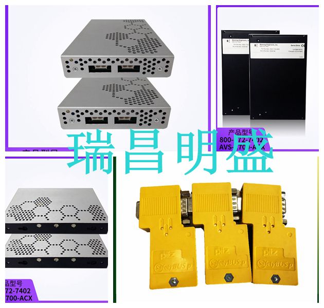 DSBC 174仓库备货型号卡件系统模块(图4) NeoImage_副本.jpg