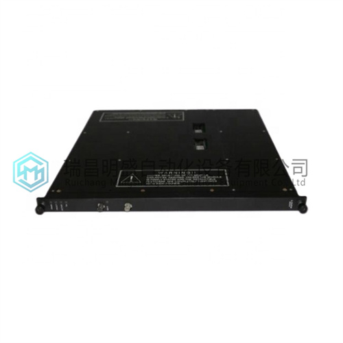 TRICONEX 8302A输入输出模块