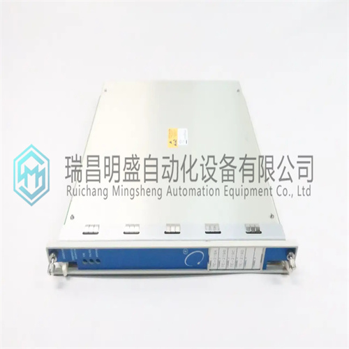 BENTLY 3500/60 163179-01温度监测器