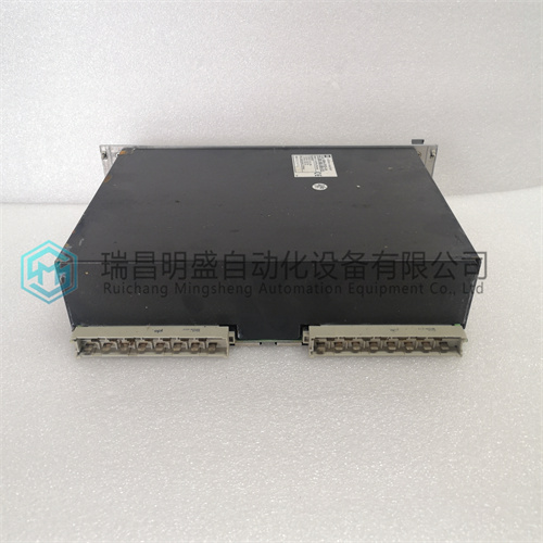 Vibro-meter VM600 RPS6U 200-582-200-011模块卡件