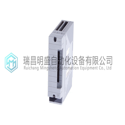 YOKOGAWA  AAI135-H53模拟输入模块