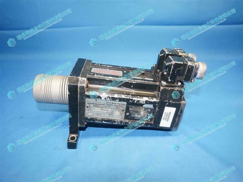 Alstom LX310BMR3000伺服电机