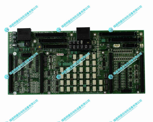 TEL Tokyo Electron 2L81-050085-51模拟输入电子模块