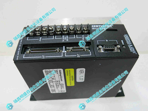 GIDINGS&LEWIS DSM030伺服驱动器